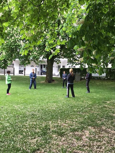 Qi Gong unter den Kastanienbäumen
