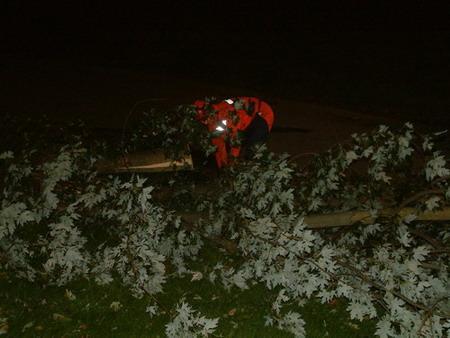 Umgestürzter Baum am Zersägen