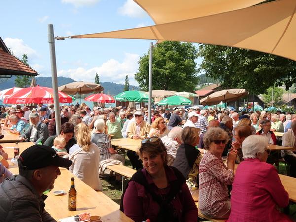 Sommermusik am See