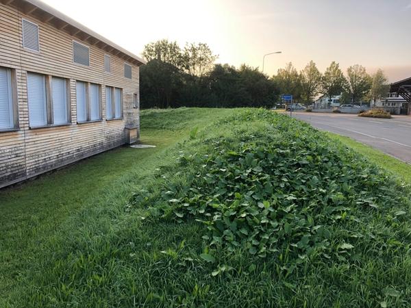 Grünfläche bei Asylunterkunft