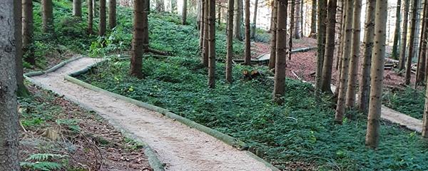 Finnenbahn