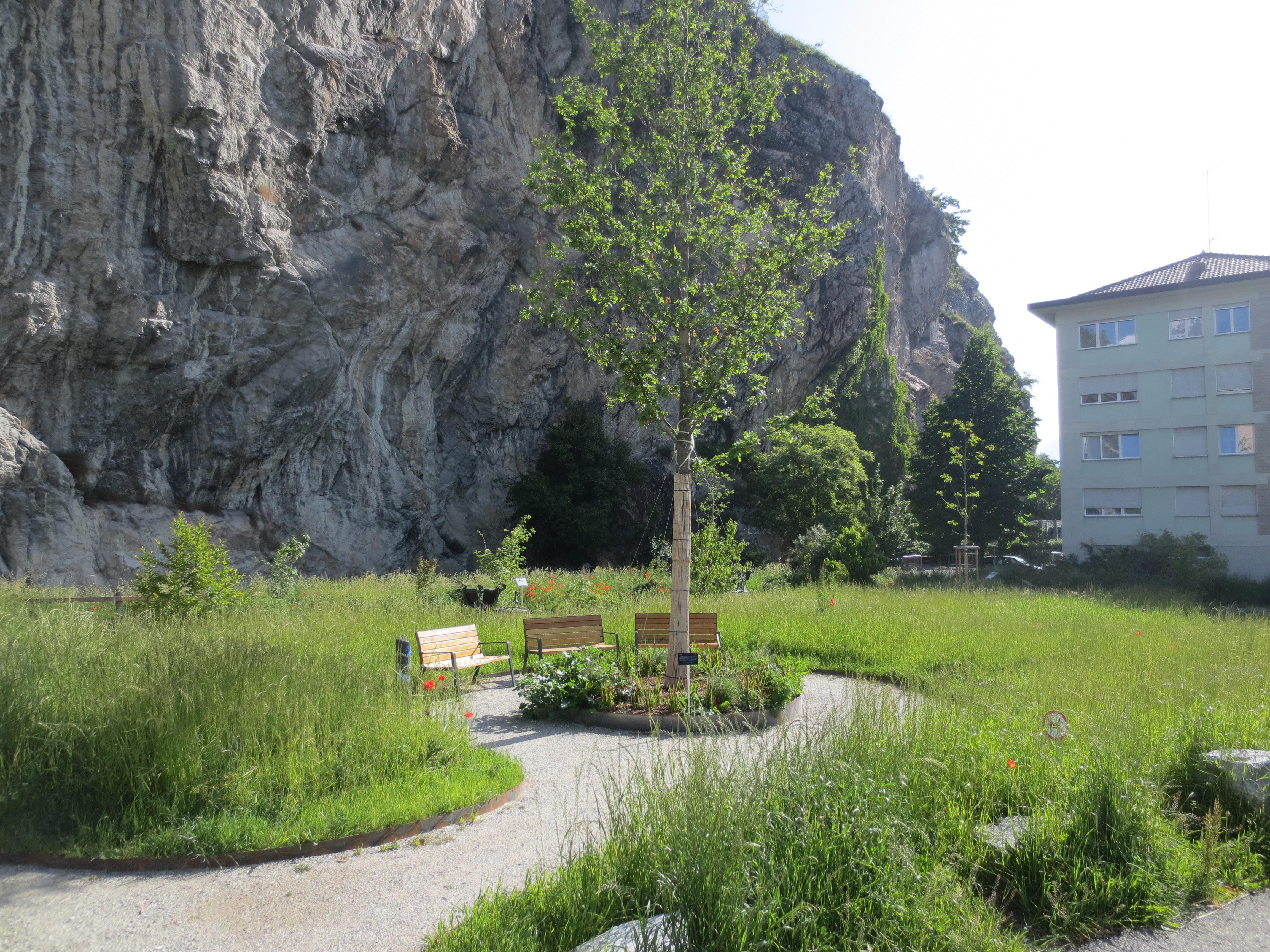 Parc de « larbre magicien »