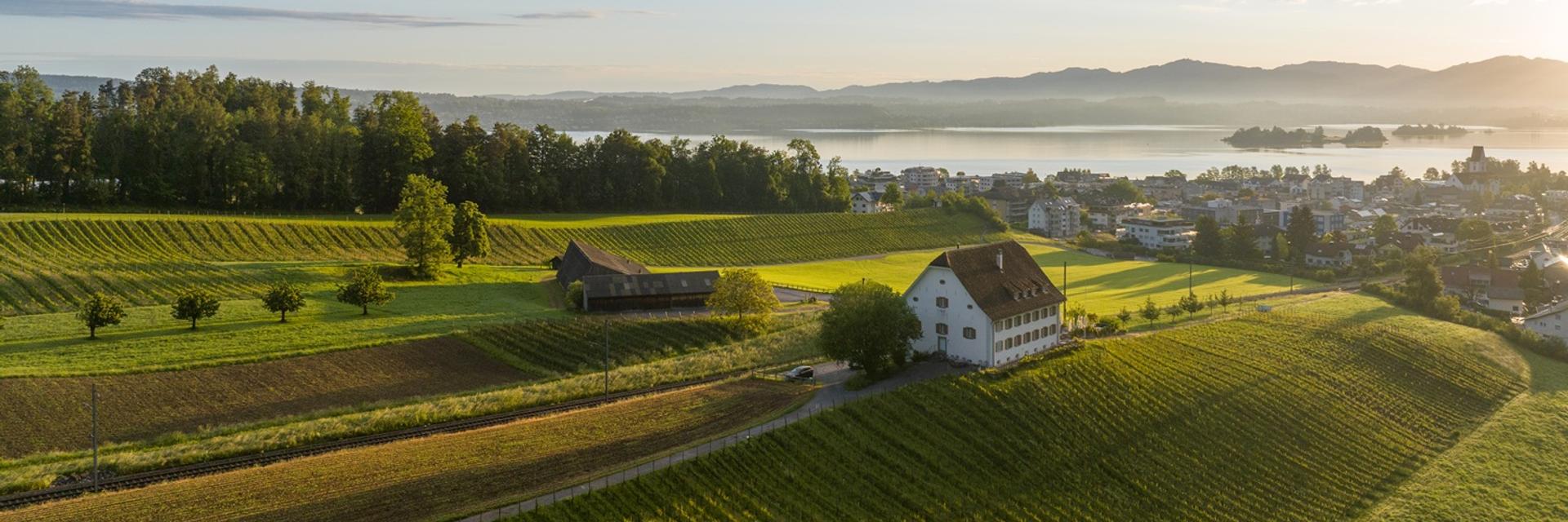Rebbaugebiet von oben