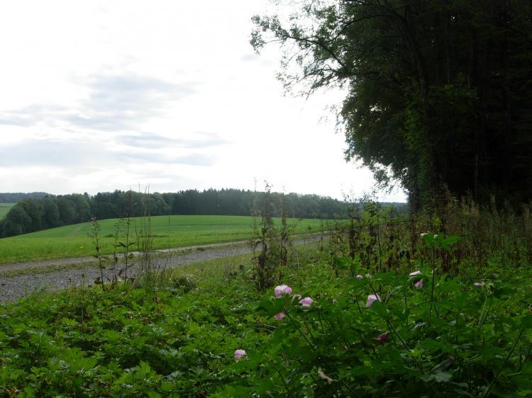 Flurweg