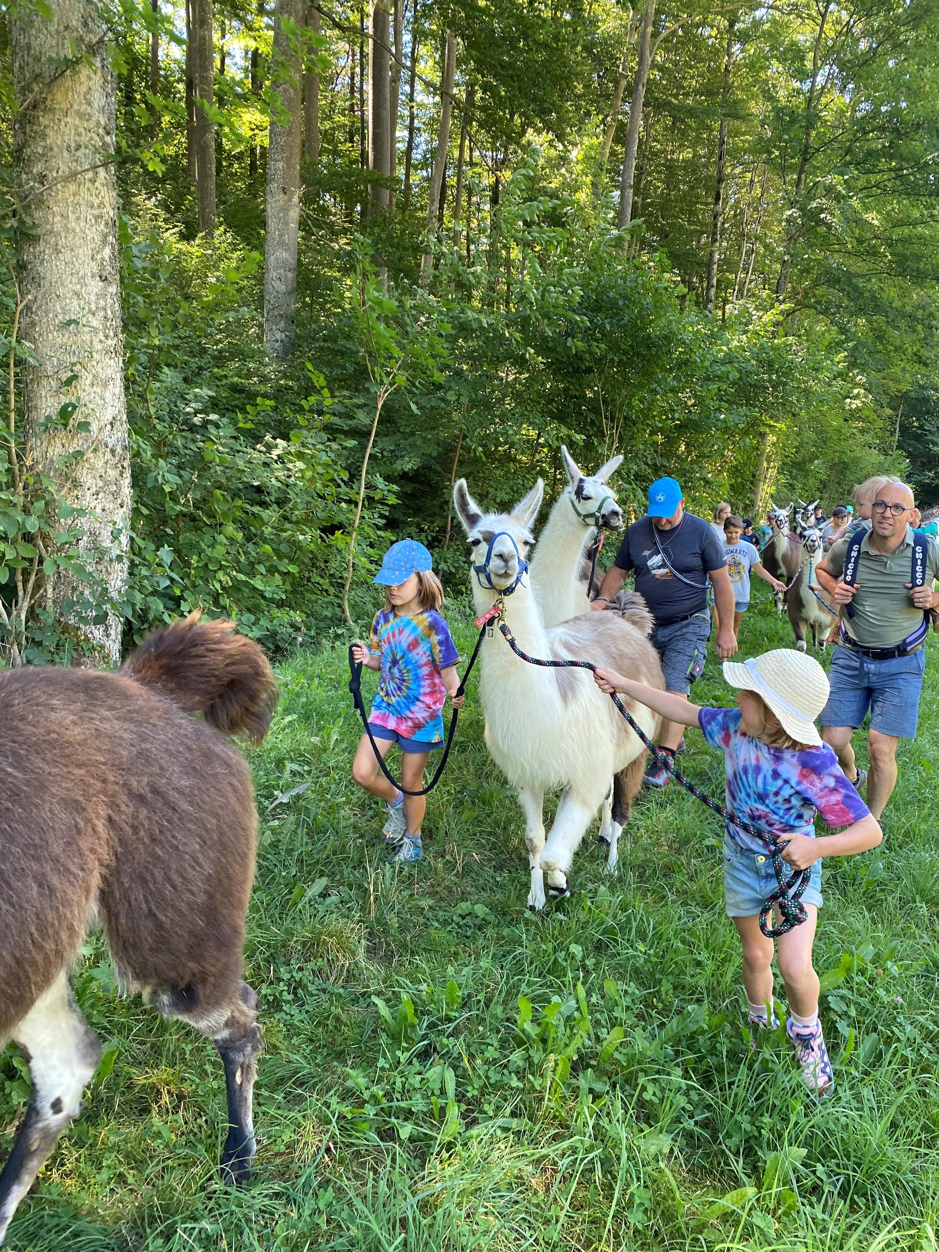 Lamatrekking