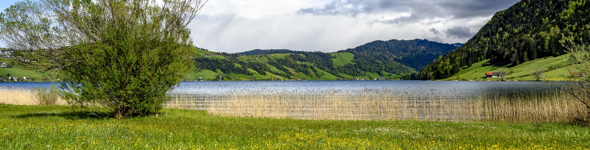 Energie Umwelt