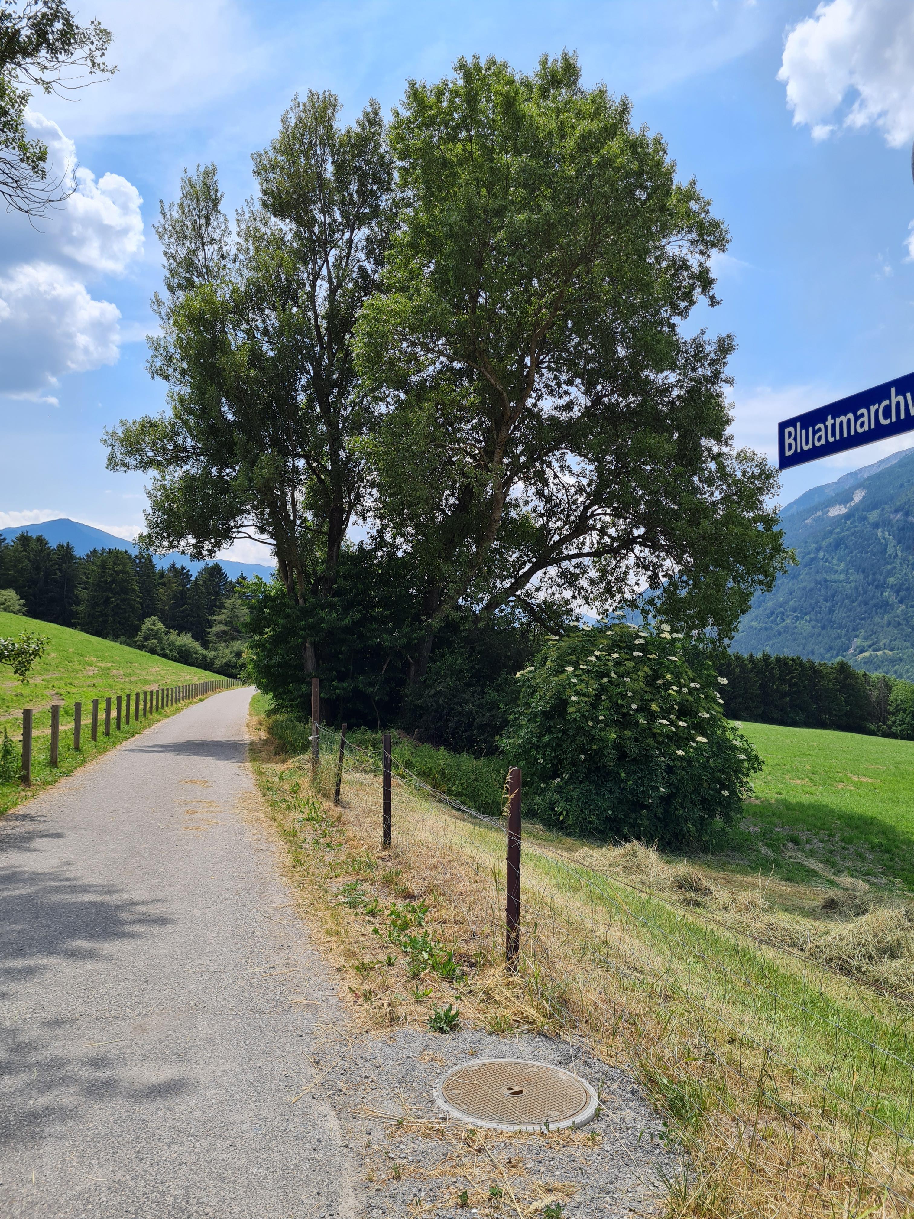 Bluatmarchweg