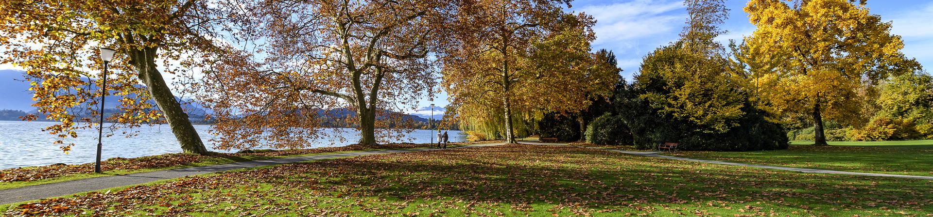 Herbst in Cham