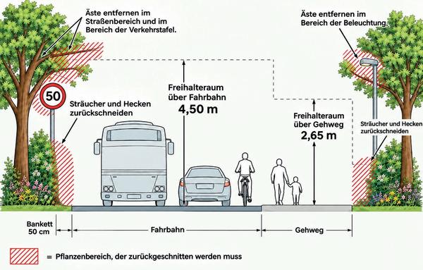 Grafische Darstellung über die Bestimmungen für Hecken und Sträuchern zur Fahrbahn und Gehweg