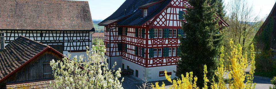 Nussbaumen
