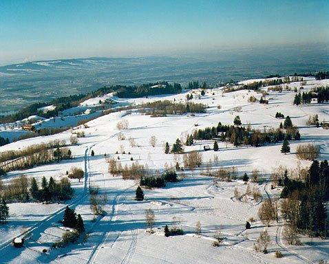 Winteridylle auf dem Zuger Hausberg. Grosse Teile des Zugerbergs sind intakte Naturschutzgebiete  von der Stadt innert gut einer halben Stunde zu erreichen.