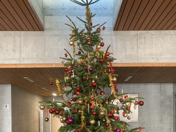 Weihnachtsbaum schmücken