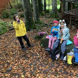 Im Wald Schuleinheit Frümsen-Salez