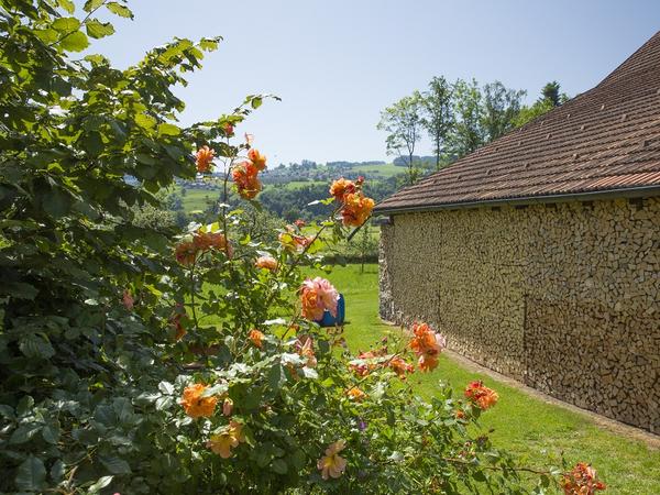 Lutzenberg im Sommer