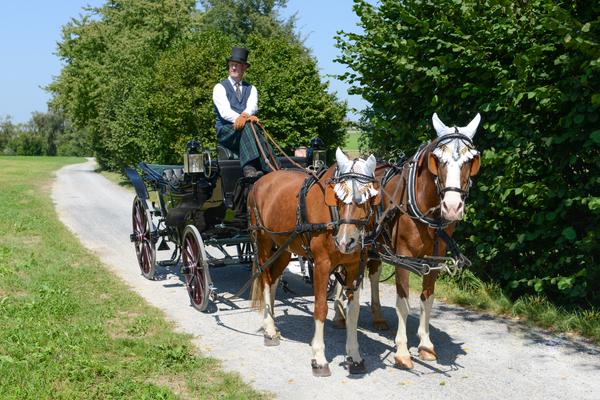 Schlosskutsche mit geschmückten Pferden offen