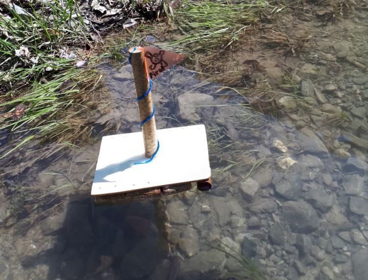 Nachdem jedes Kind im TTG ein selber geplantes Floss aus verschiedenen Materialien gebaut hat, war nun der spannende Moment gekommen: Welche Flösse schwimmen auf dem Wasser?