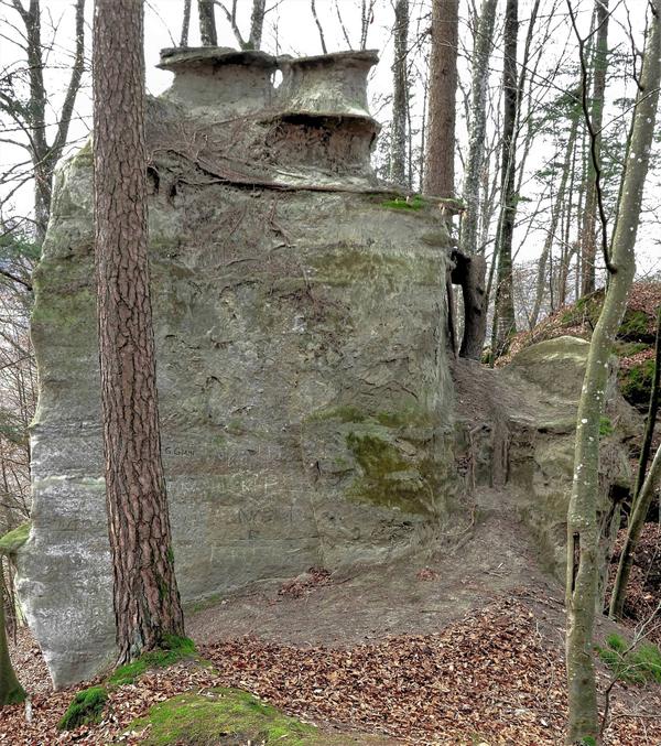 Ruine Grimmenstein, Foto Hans Schuler