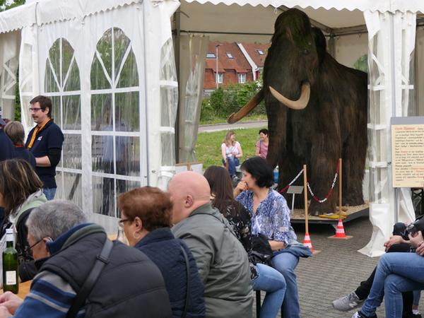 Mammut-Fest