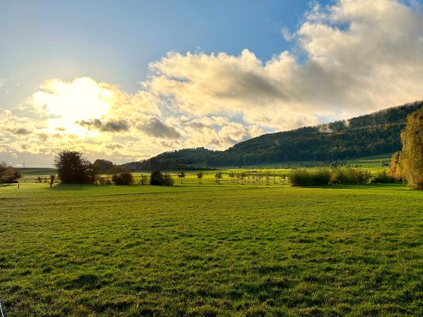Herbstmorgen in Schäfflisdorf