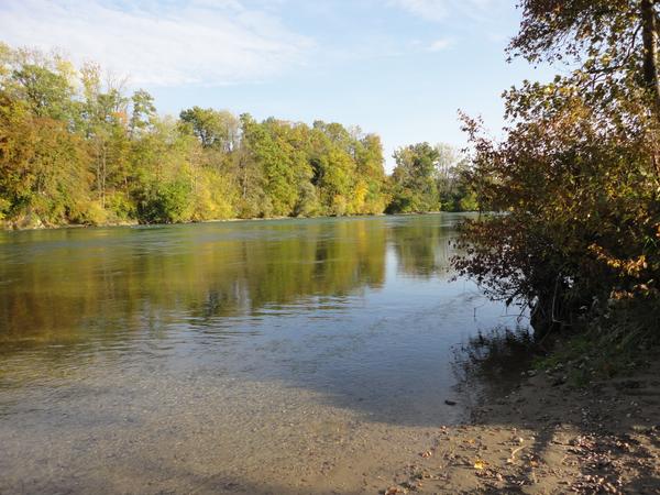Aare