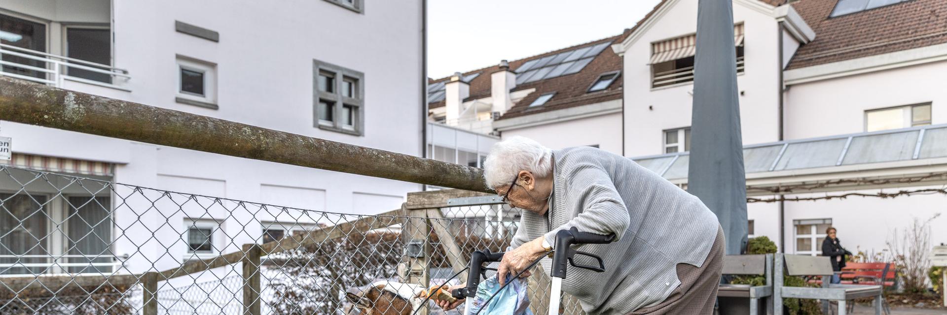 Pflegezentrum Pfarrmatte von aussen mit Geissengehege