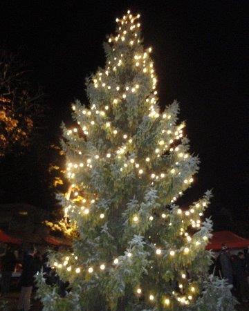 Adventsfeier