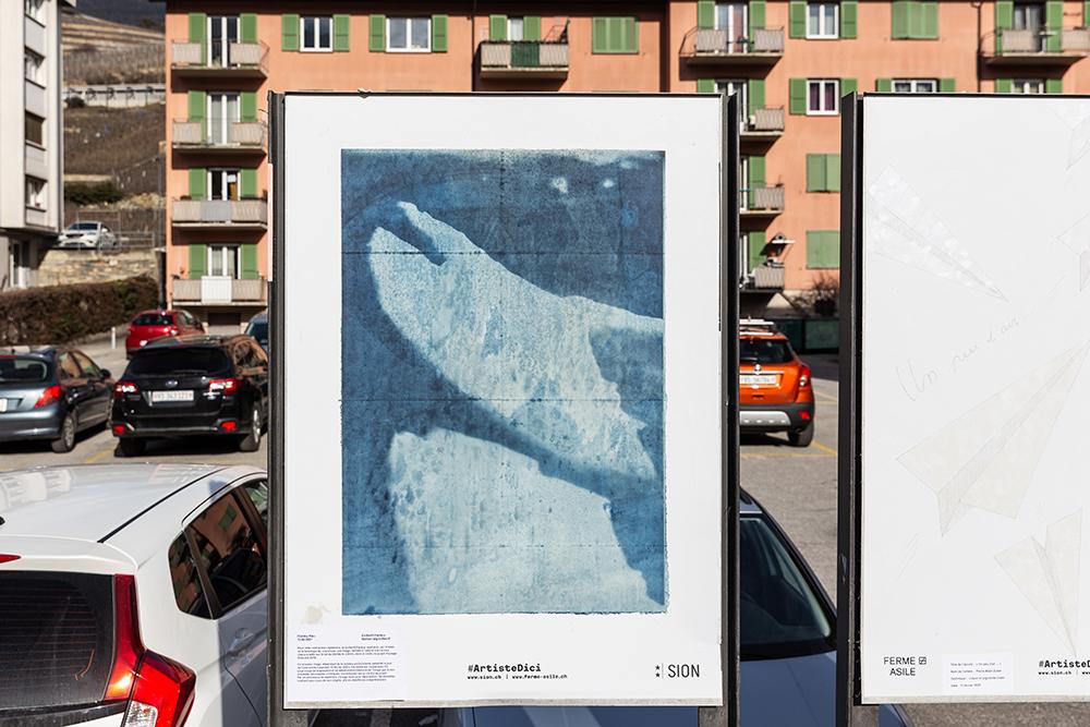 Collectif Facteur
diabley bleu, 2021, cyanotype