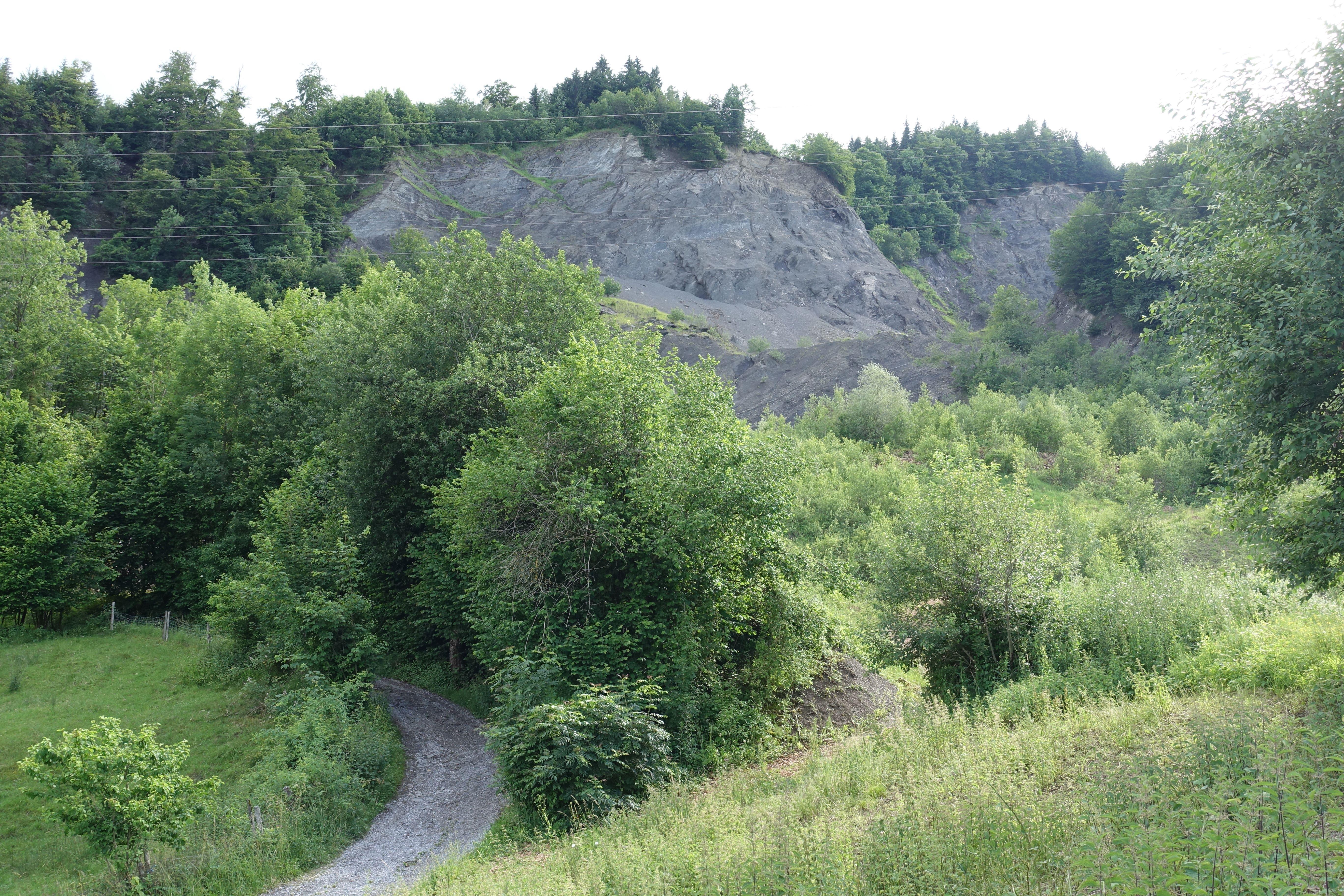 Mergelgrube