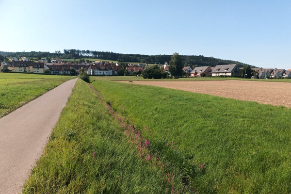 Friedgraben in Bonstetten