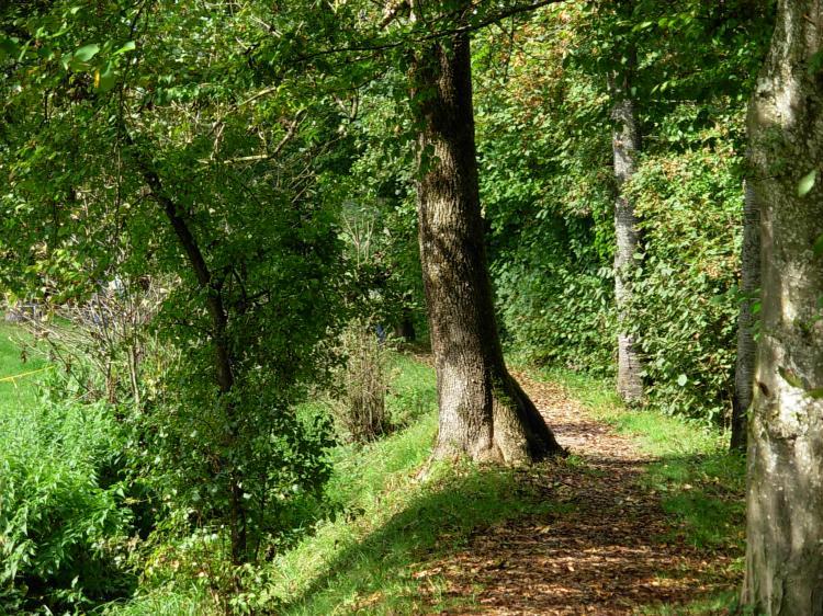 Wanderweg