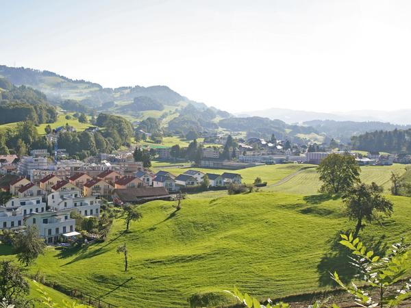 Panoramabild