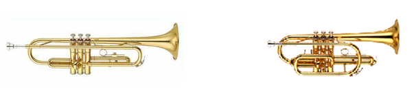 Bild Trompete und Cornet