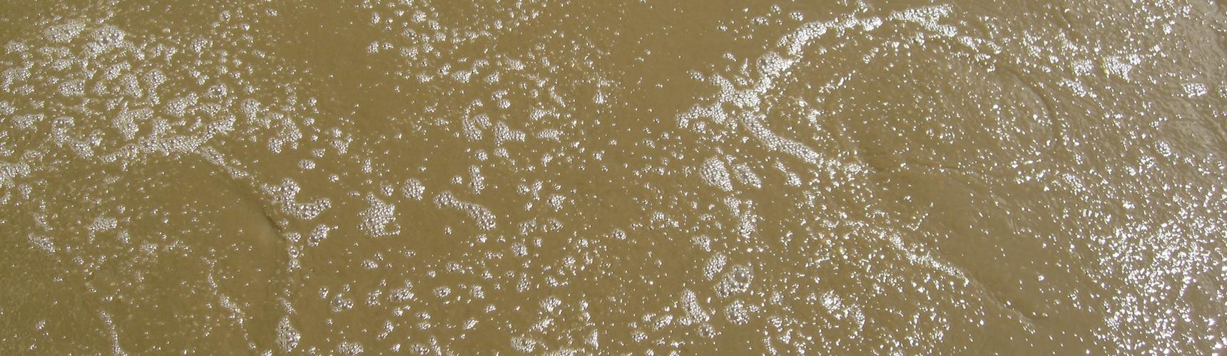 Abwasser der ARA Gadenstatt