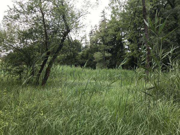 Hügelrundweg Effretikon; 5 Mülizenriet