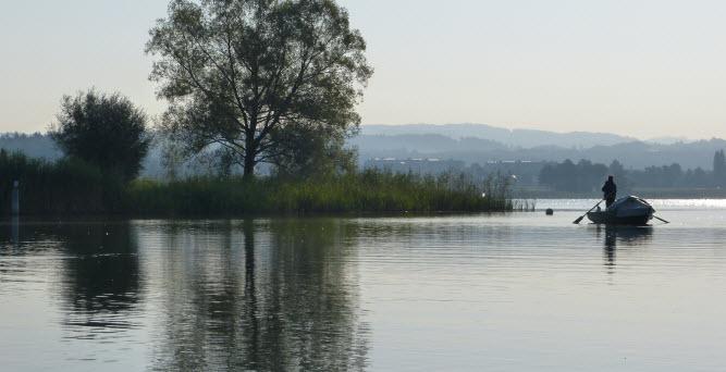 Greifensee in der Morgendämmerung