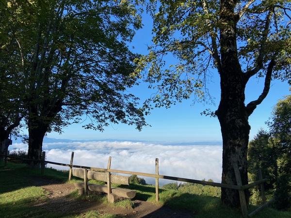 Blick auf das Nebelmeer vom Zugerberg