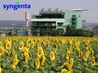 Syngenta