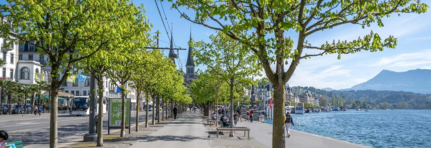 Entsiegelung Schweizerhofquai: Erste Etappe startet