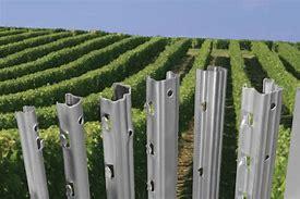 Recyclage piquets de vigne
