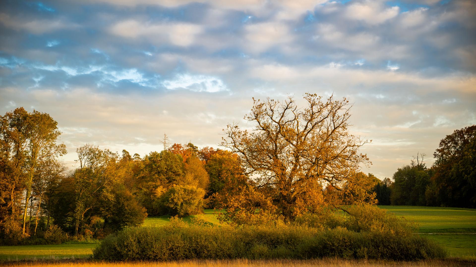 Herbststimmung