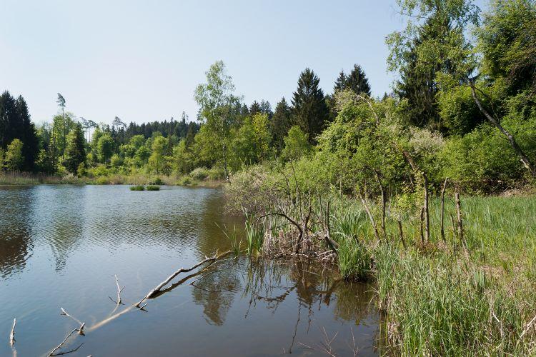 Naturschutzgebiet Wildert; Foto Christian Schwager