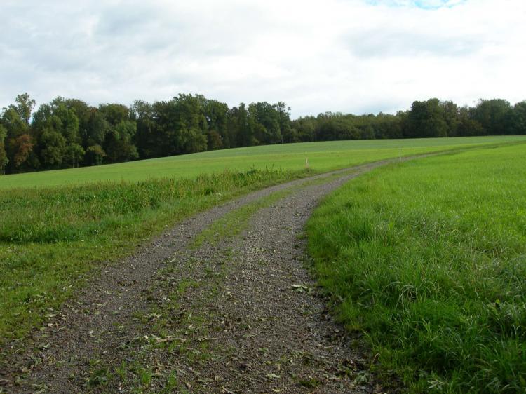 Flurweg3