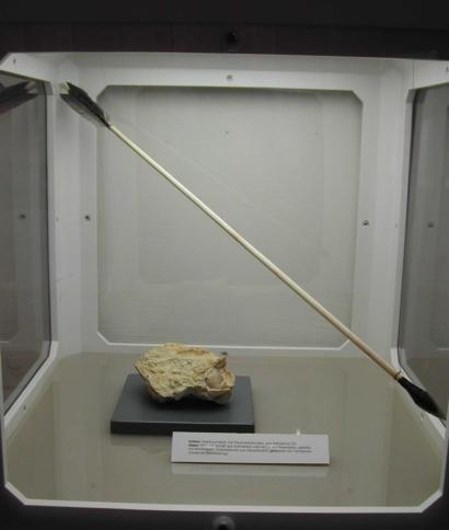 Die Ausstellung