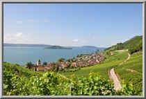 Blick auf Twann und St. Petersinsel