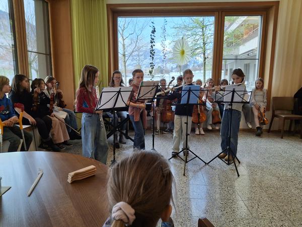Schmetterlingkonzert