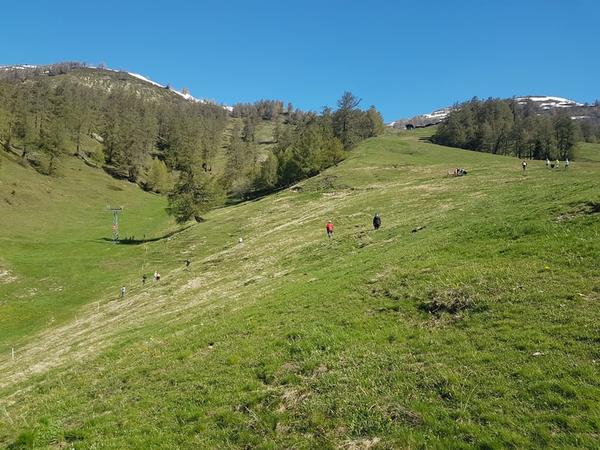 Putztag der Skipiste Feselalpe durch die Primarschule Gampel-Bratsch 