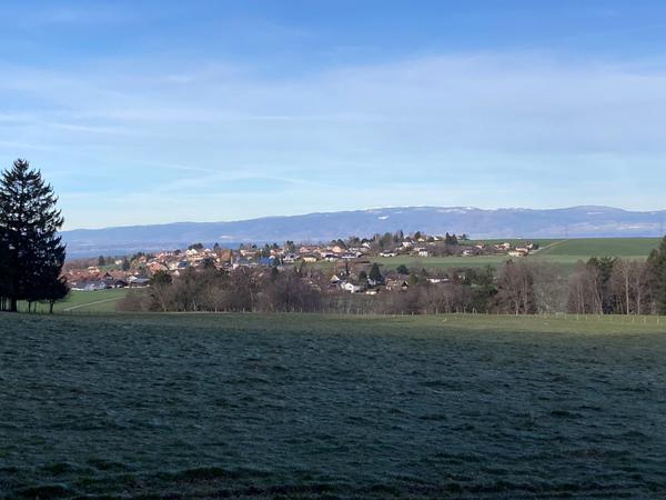 Pâturage des  Alloux