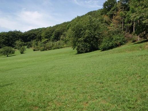 Schutzgebiet Hinterrebe