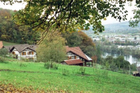 Trommelsten. Der westlichste Teil des Gebiets Rüti in Stein. Der Sonntagsspaziergang des Gemeindeschreibers ist hiermit beendet. Wir hoffen, dass Ihnen der virtuelle Rundgang einen Eindruck von Stein und seiner schönen Umgebung vermitteln konnte.
