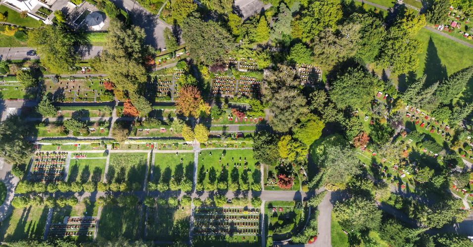 Friedhof 